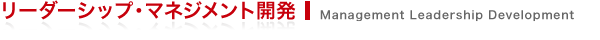 リーダーシップ・マネジメント開発 Management Leadership Development
