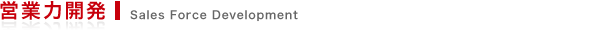 営業力開発 Sales Force Development