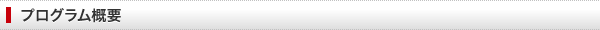 プログラム概要