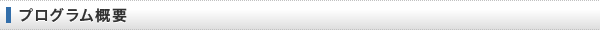 プログラム概要