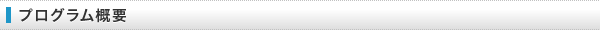 プログラム概要