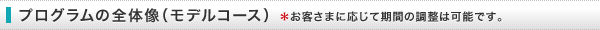 プログラムの全体像（モデルコース） *お客さまに応じて期間等の調整は可能です。