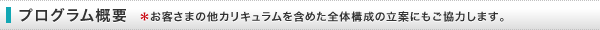 プログラム概要 *お客さまの他カリキュラムを含めた全体構成の立案にもご協力します。