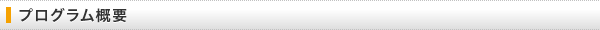 プログラム概要