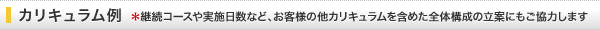 カリキュラム例　＊継続コースや実施日数など、お客様の他カリキュラムを含めた全体構成の立案にもご協力します