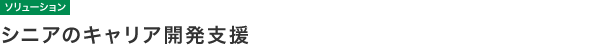 【ソリューション】シニアのキャリア開発支援