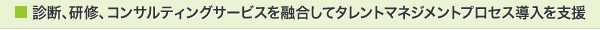 診断、研修、コンサルティングサービスを融合してタレントマネジメントプロセス導入を支援