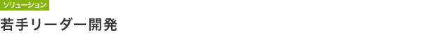 【ソリューション】若手リーダー開発