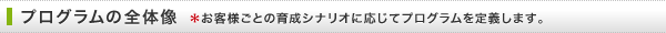 プログラムの全体像 ＊年次は目安です。お客様ごとの育成シナリオに応じて設定します。